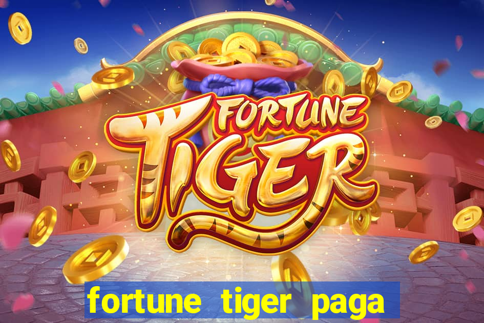 fortune tiger paga de madrugada